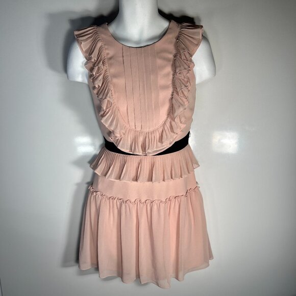 BCBGMaxAzria SZ6 Britt Bare Pink Flowy  Dress Cut Outs Fairy Coquette Party - Picture 6 of 14